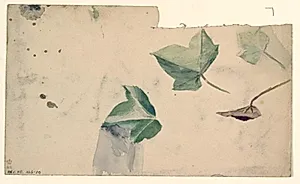 Studier af et blad by Niels Larsen Stevns