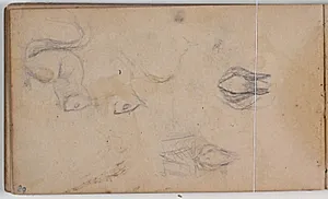 Studier af et egern by Niels Larsen Stevns