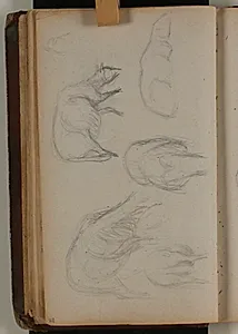 Studier af får by Niels Larsen Stevns