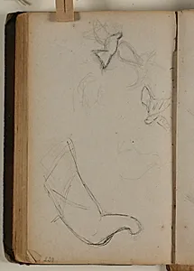 Studier af forskellige fuglearter by Niels Larsen Stevns