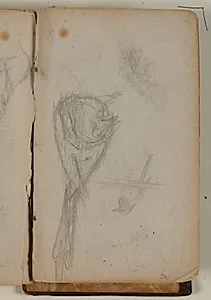 Studier af forskellige fuglearter by Niels Larsen Stevns