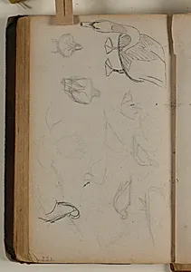 Studier af forskellige fuglearter by Niels Larsen Stevns