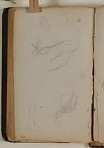 Studier af forskellige fuglearter by Niels Larsen Stevns