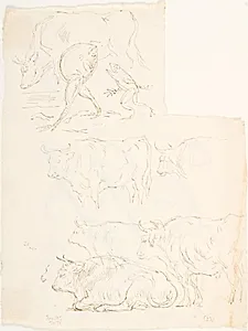 Studier af frøer og okser by Lorenz Frølich