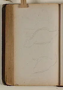 Studier af fugl (krage?) by Niels Larsen Stevns
