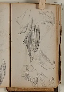 Studier af fugle (råger ell. ravne?) by Niels Larsen Stevns