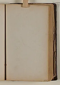 Studier af fugle by Niels Larsen Stevns