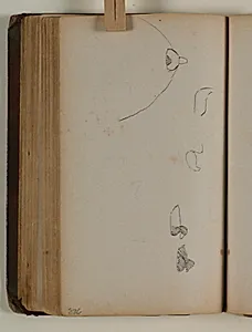Studier af fugle by Niels Larsen Stevns