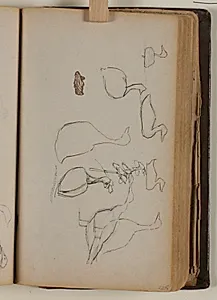 Studier af fugle by Niels Larsen Stevns