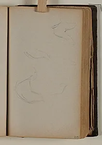 Studier af fugle by Niels Larsen Stevns
