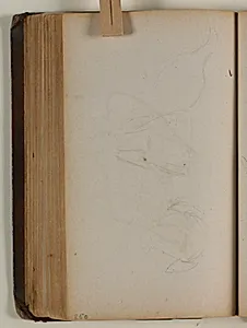 Studier af grib eller duer by Niels Larsen Stevns