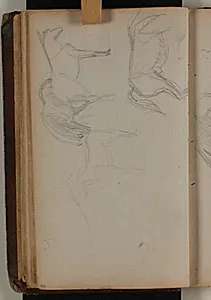 Studier af heste by Niels Larsen Stevns