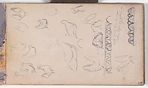 Studier af høns og ornamentik by Niels Larsen Stevns