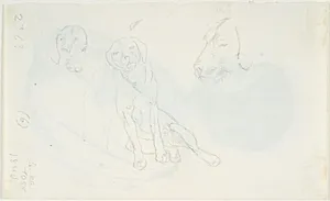 Studier af hund by Lorenz Frølich