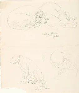 Studier af hunde by Lorenz Frølich