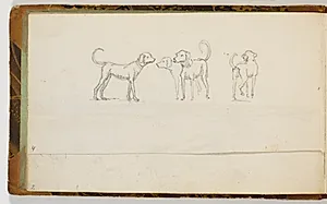 Studier af hunde by Martinus Rørbye