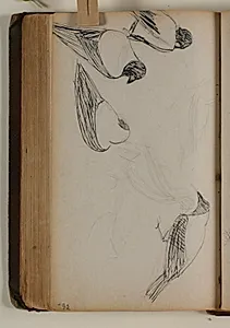Studier af krager by Niels Larsen Stevns