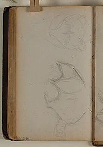 Studier af næsebjørn by Niels Larsen Stevns