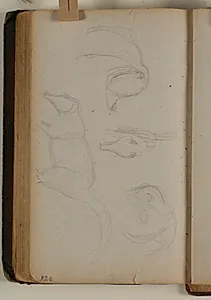 Studier af næsebjørn by Niels Larsen Stevns