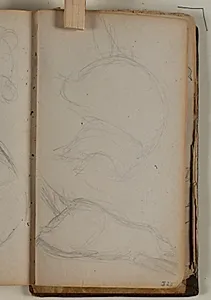 Studier af næsebjørn by Niels Larsen Stevns