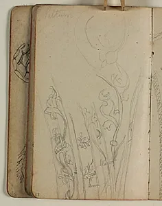 Studier af ornamentranker fra Saltum kirke by Niels Larsen Stevns