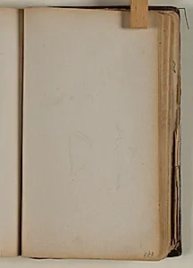 Studier af pelikan by Niels Larsen Stevns