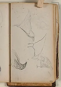 Studier af råger eller ravne by Niels Larsen Stevns