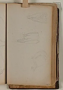 Studier af rovfugl og due by Niels Larsen Stevns