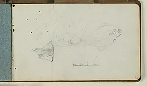 Studier af skibe og fisk by Niels Larsen Stevns