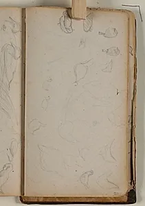 Studier af småfugle by Niels Larsen Stevns