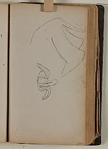 Studier af svane by Niels Larsen Stevns