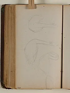 Studier af svaner by Niels Larsen Stevns