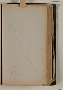Studier af svaner by Niels Larsen Stevns