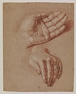 Studier af to hænder. by Mander III, Karel van
