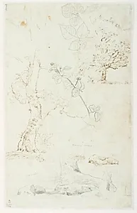 Studier af træer, blade o.a. by Dankvart Dreyer