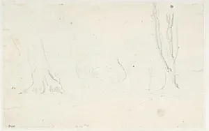 Studier af træer o.a. by Dankvart Dreyer