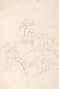 Studier af træer og planter by Dankvart Dreyer