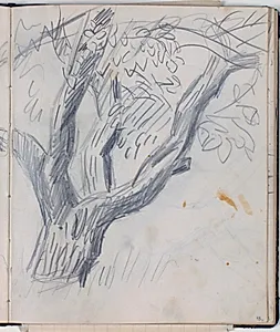 Studier af trækroner by Niels Larsen Stevns