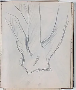 Studier af trækroner by Niels Larsen Stevns