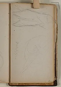 Studier af vaskebjørn by Niels Larsen Stevns