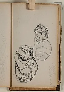 Studier af vildkat by Niels Larsen Stevns