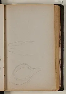 Studier af vildsvin by Niels Larsen Stevns