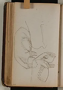 Studier af vildsvin by Niels Larsen Stevns