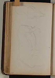 Studier af vildsvin by Niels Larsen Stevns