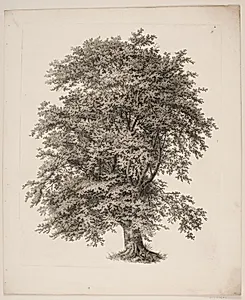 "Studier efter Naturen med Hensyn til Landskabstegning af S.H. Petersen", nr. 2 by Søren Henrik Petersen