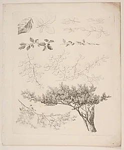 "Studier efter Naturen med Hensyn til Landskabstegning af S.H. Petersen", nr. 1 by Søren Henrik Petersen
