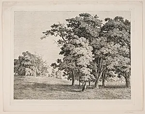 "Studier efter Naturen med Hensyn til Landskabstegning af S.H. Petersen", nr. 8 by Søren Henrik Petersen