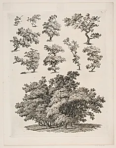 "Studier efter Naturen med Hensyn til Landskabstegning af S.H. Petersen", nr. 7 by Søren Henrik Petersen