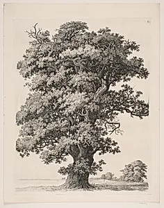 "Studier efter Naturen med Hensyn til Landskabstegning af S.H. Petersen", nr. 6 by Søren Henrik Petersen