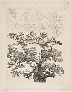 "Studier efter Naturen med Hensyn til Landskabstegning af S.H. Petersen", nr. 5 by Søren Henrik Petersen